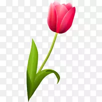 ����ֲ��������ٺϿ�������-������