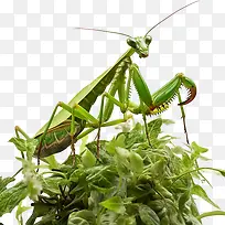 ó«òë-ó«òë¼×³æÂÌÉ«À¥³æÖ©Öë-¿ÕÈôÍø ó«òë-ó«òë¼×³æÂÌÉ«À¥³æÖ©Öë-¿ÕÈôÍø