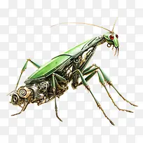 螳螂-螳螂蚂蚁机械昆虫机械昆虫-空若网 螳螂-螳螂蚂蚁机械昆虫机械昆虫-空若网