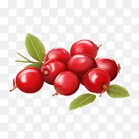 ��Խݮ��������ʳƷ-������