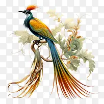 ������-��֦-������