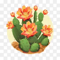 仙人掌-仙人掌-空若网 仙人掌-仙人掌-空若网