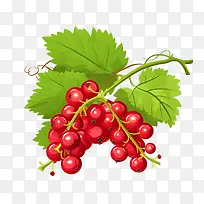 野生浆果-野生浆果蔓越莓浆果水果红色浆果-空若网 野生浆果-野生浆果蔓越莓浆果水果红色浆果-空若网