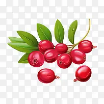 ����Խݮ-��֭-������