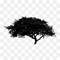 Ê÷¼ôÌù»-ºÚÉ«Ê÷pngÎļþ-¿ÕÈôÍø Ê÷¼ôÌù»-ºÚÉ«Ê÷pngÎļþ-¿ÕÈôÍø