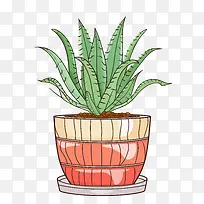 芦荟-芦荟-空若网 芦荟-芦荟-空若网