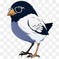 鸟的翅膀-空若网 鸟的翅膀-空若网