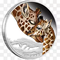 珀斯铸币-空若网 珀斯铸币-空若网