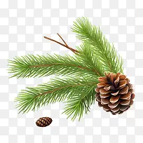 松果-圣诞树枝-空若网 松果-圣诞树枝-空若网