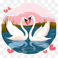 天鹅-天鹅天鹅湖心日落-空若网 天鹅-天鹅天鹅湖心日落-空若网