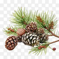 �ɹ�-ʥ��װ��-������