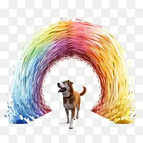 �ʺ��ż�����-�ʺ�-������