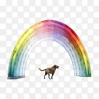 �ʺ��ż�����-�ʺ�-������