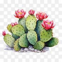 ����ֲ��-������-������