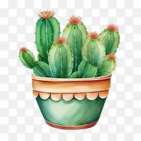 ����ֲ��-������-������