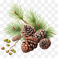 �ɹ�-�ɹ��ɹ�������֦��֦-������