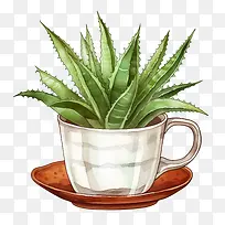 «��-«��-������