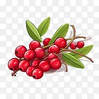 ����Խݮ-����-������