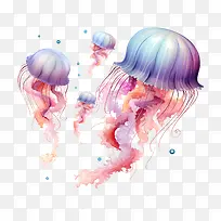 世界水母日-世界水母日水母水下海洋-空若网 世界水母日-世界水母日水母水下海洋-空若网