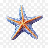 海星-橙色-空若网 海星-橙色-空若网