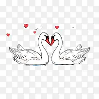 天鹅-天鹅天鹅爱心水-空若网 天鹅-天鹅天鹅爱心水-空若网