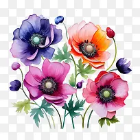 ������-��������ʻ�������-������