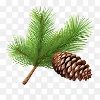 松果-树枝-空若网 松果-树枝-空若网