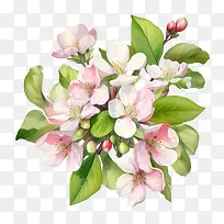 苹果花-苹果花樱花粉红色的花朵树枝绿叶-空若网 苹果花-苹果花樱花粉红色的花朵树枝绿叶-空若网