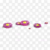 生日问候友谊拥抱短信-非洲菊-空若网 生日问候友谊拥抱短信-非洲菊-空若网