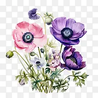 ������-��������ˮ�ʶ�ʳ�������-������