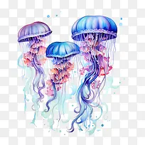 ÊÀ½çˮĸÈÕ-ÊÀ½çˮĸÈÕˮĸº£ÑóÉúÎïË®²Ê»À¶É«ºÍ×ÏÉ«-¿ÕÈôÍø ÊÀ½çˮĸÈÕ-ÊÀ½çˮĸÈÕˮĸº£ÑóÉúÎïË®²Ê»À¶É«ºÍ×ÏÉ«-¿ÕÈôÍø