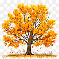 秋天的树-秋天的树-空若网 秋天的树-秋天的树-空若网