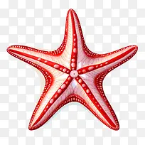 ����-���Ǻ�ɫ���ǰ�ɫ���Ǻ�ɫ�Ͱ�ɫ��������-������