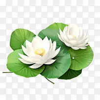 ����-����-������