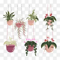 ���������ֲ��-���������ֲ����������ֲ��ֲ����ϵ����-������