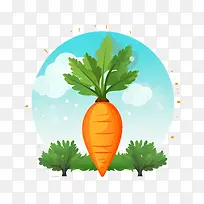 胡萝卜-橙色-空若网 胡萝卜-橙色-空若网