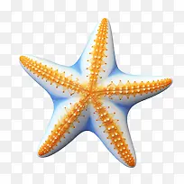 海星-橙色-空若网 海星-橙色-空若网