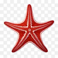 ����-���Ǻ�ɫ���Ǻ���������-������