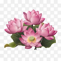 ����-����-������