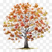 ÇïÌìµÄÊ÷-ÇïÌìµÄÊ÷-¿ÕÈôÍø ÇïÌìµÄÊ÷-ÇïÌìµÄÊ÷-¿ÕÈôÍø