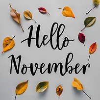 ʮһ����á����������Ҷ-������