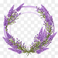 ޹�²ݻ���-����-������