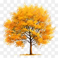 秋天的树-秋天的树-空若网 秋天的树-秋天的树-空若网