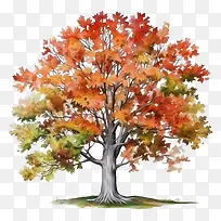 秋天的树-秋天的树-空若网 秋天的树-秋天的树-空若网