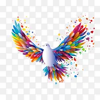 世界和平日——鸽子-空若网 世界和平日——鸽子-空若网