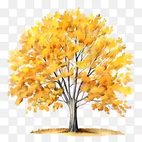 秋天的树-秋天的树-空若网 秋天的树-秋天的树-空若网