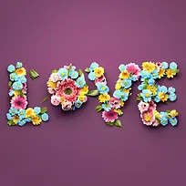 ��-���������������-������