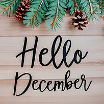 你好十二月-圣诞树枝-空若网 你好十二月-圣诞树枝-空若网