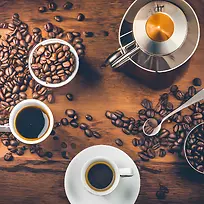 ¹ú¼Ê¿§·ÈÈÕ¡ª¡ª¿§·È¶¹-¿ÕÈôÍø ¹ú¼Ê¿§·ÈÈÕ¡ª¡ª¿§·È¶¹-¿ÕÈôÍø