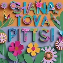 shanahtova-shanahtova��ʻ��ܳ���װ��-������